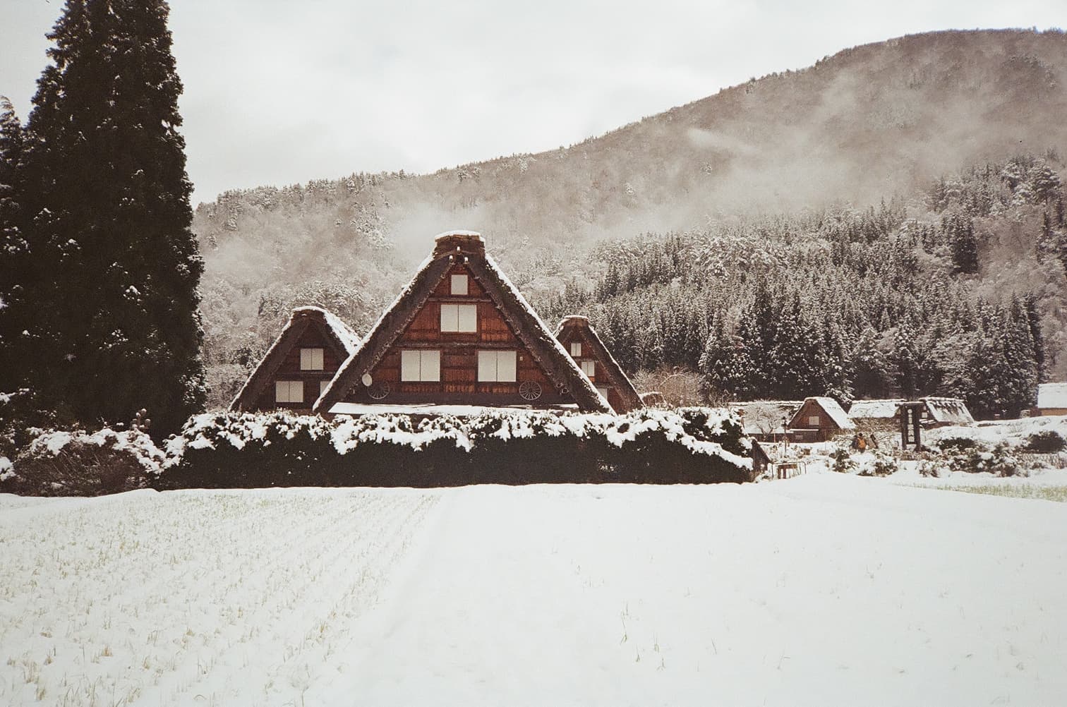 Gassho-zukuri farmhouses at Shirakawa-go