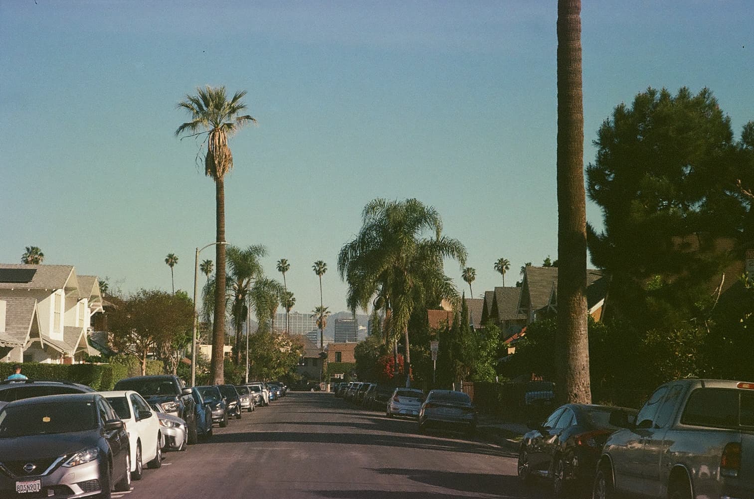 Palm-lined Los Angeles street on film