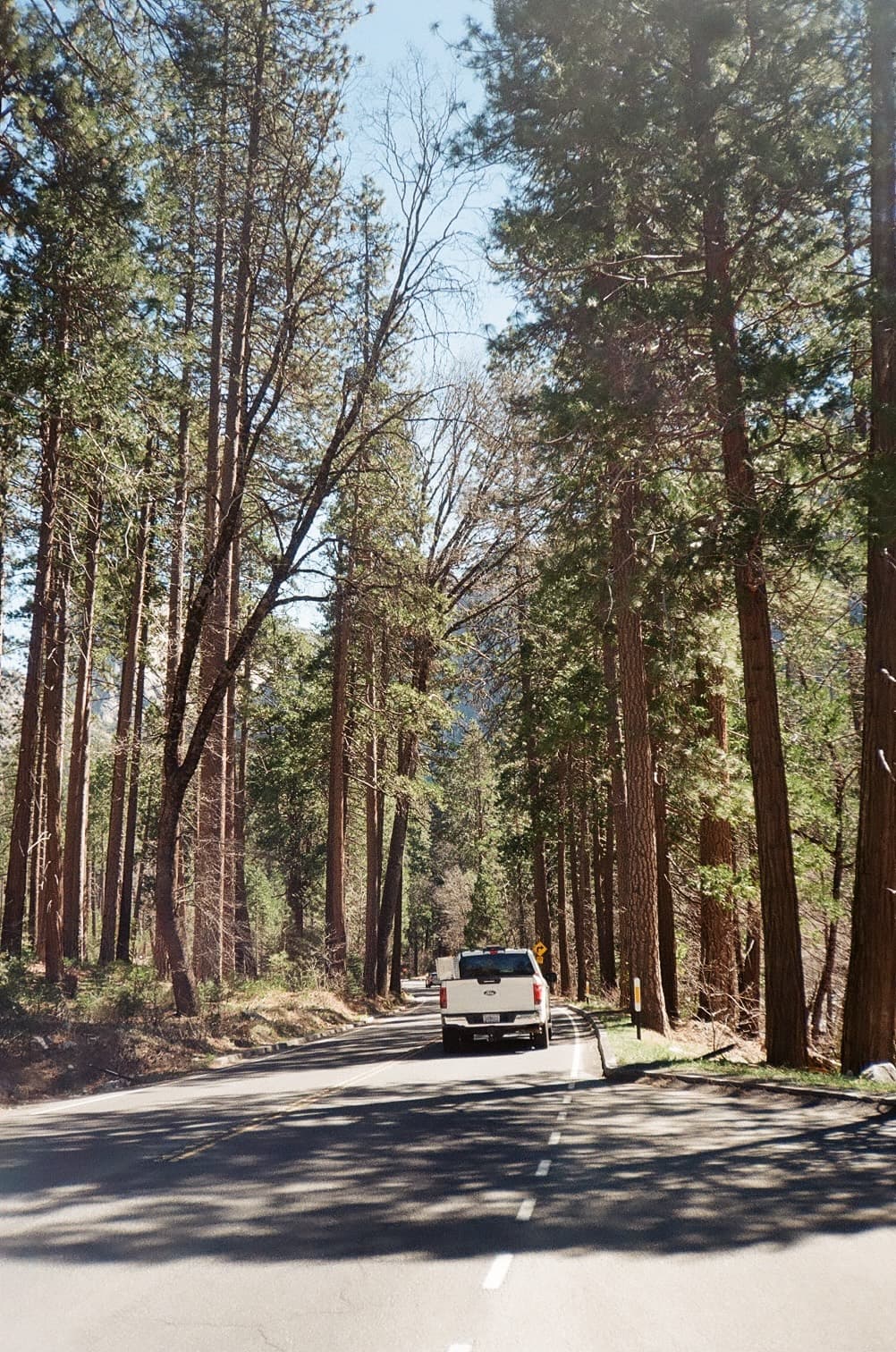 Road through Yosemite Valley, temporary US film cover for Appalachia trip